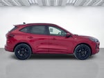 2026 Ford Escape ST-Line Elite