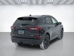 2026 Ford Escape ST-Line Elite