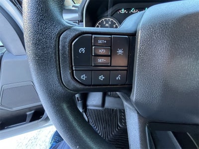 2023 Ford F-150 XL 101A W/STX APPEARANCE PACKAGE